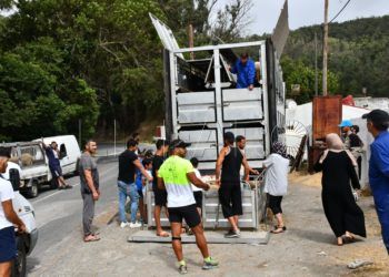 camion-corderos-pascua (7)