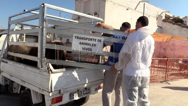 festividad-sacrificio-cordero-2022-024