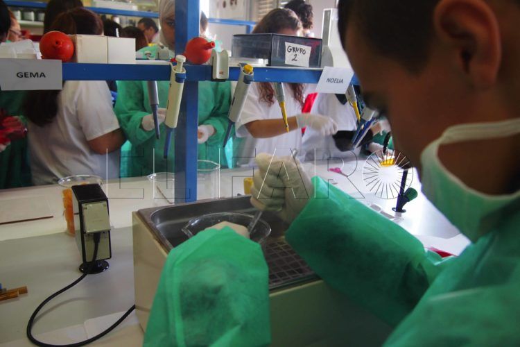 formacion empleo juventud laboratorio