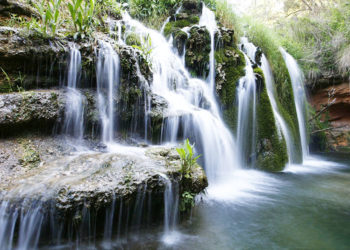 humedales-manantiales