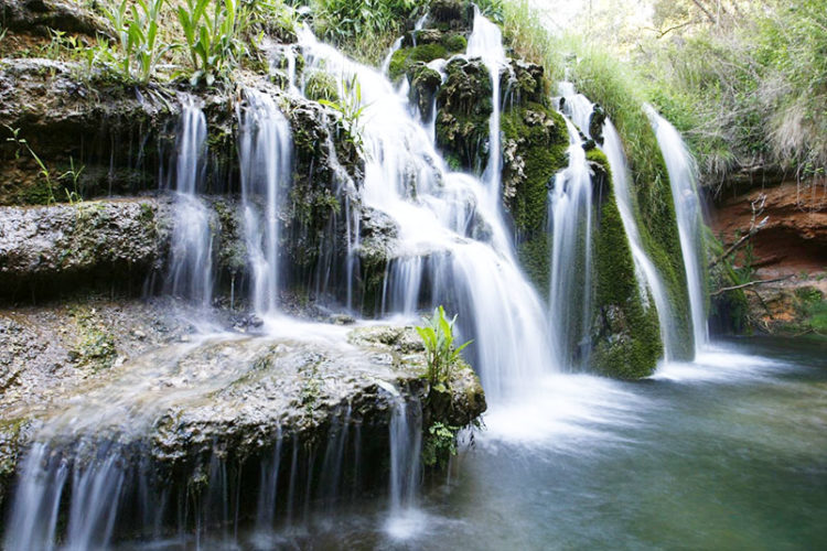 humedales-manantiales