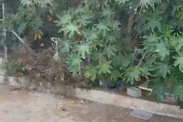 mal-olor-queja-barrio-latas-003