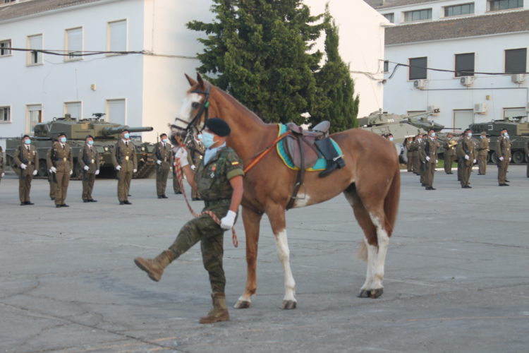 militar-caballo-desfile