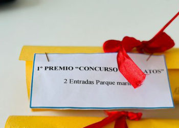 concurso