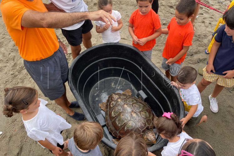 niños-tortugas-cecam