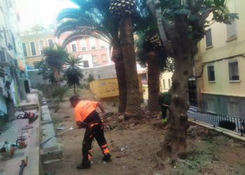 brigadas-verdes-alfau-1