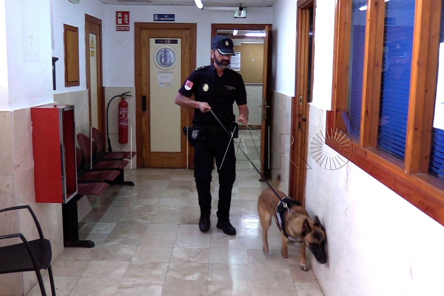 brull-perro-policia-nacional (3)