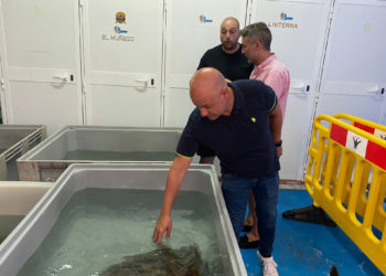 cecam-visita-psoe-gutierrez