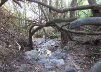 conversacion-naturaleza-007