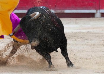 corrida-toros