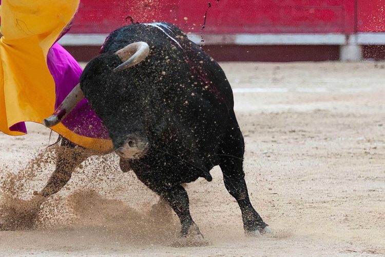 corrida-toros