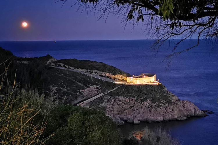 museo-desnarigado (2)