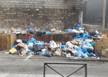 basura principe san danie (2)