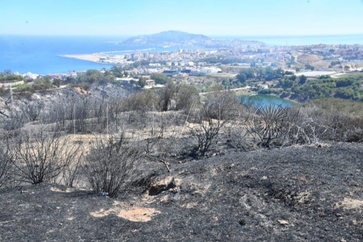 bomberos-incendio-monte-garcia-aldave-013