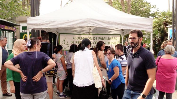 dia-alzheimer-2022-002