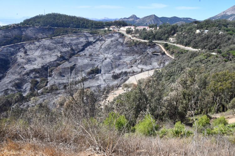 monte-garcia-aldave-calcinado