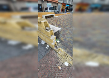 piden-arreglar-jardin-principe