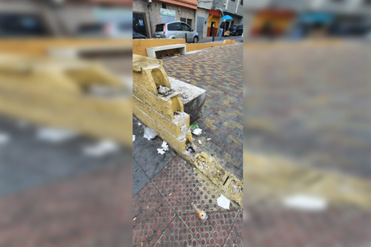 piden-arreglar-jardin-principe