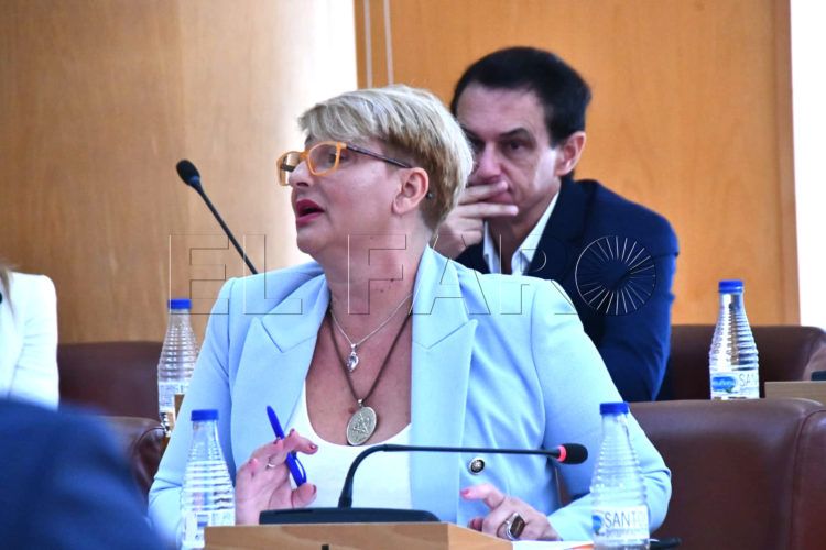 psoe-pleno-elena-mateo