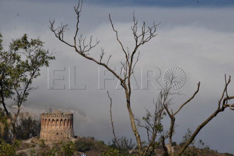 reforestacion-garcia-aldave-incendio-008