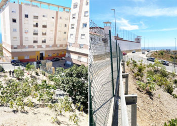 reina-huerto-ecologico