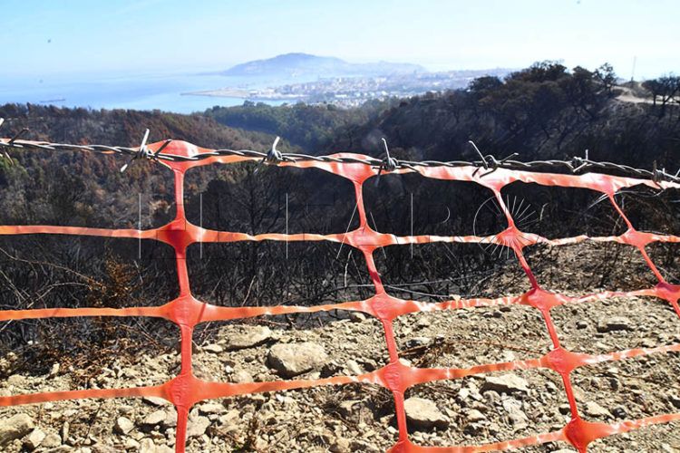 resaca-incendio-gas-risa-botellon