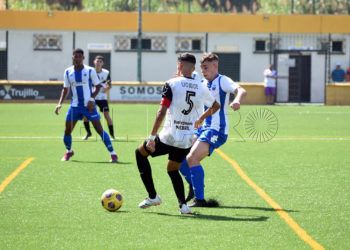 ucidce-nervion-ok
