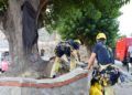bomberos-rescate-vertical-foso-murallas-reales-011