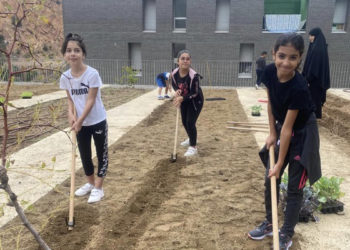 cruz-roja-ruta-saludable-007