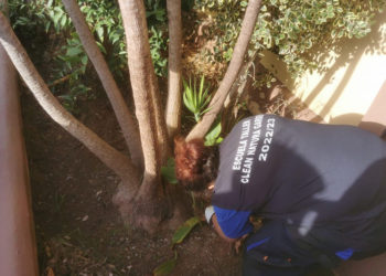 escuela-taller-clean-natura-garden-003