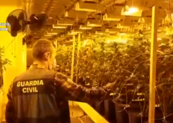 guardia-civil-operacion-pinarel-drogas-009