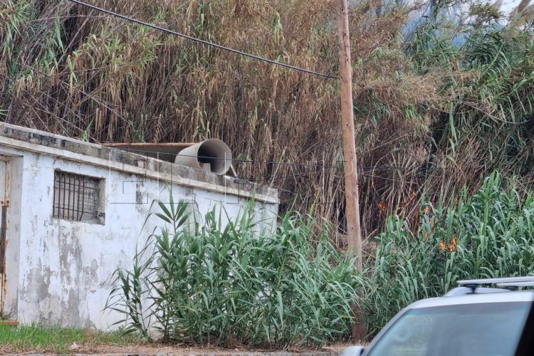 incendio-cañaverales (4)