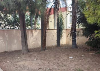 plaga-pulgas-colegios (2)