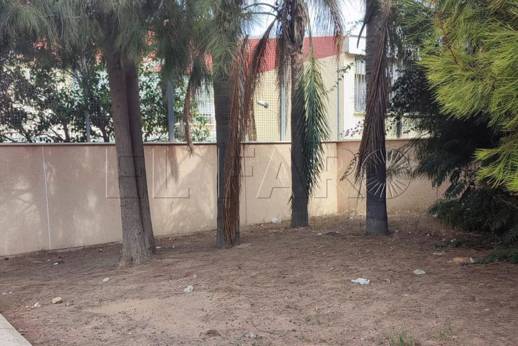 plaga-pulgas-colegios (2)