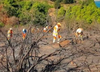 reforestacion-marruecos