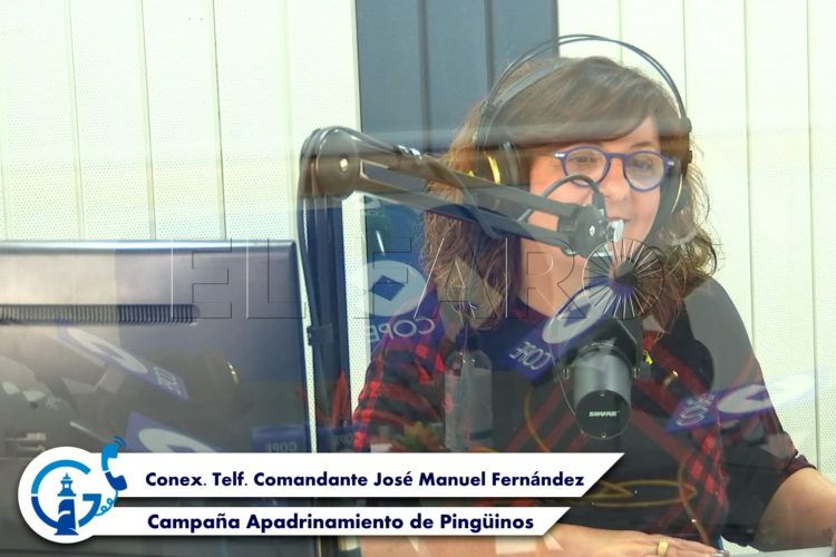 Corte-cope-pinguinos-min