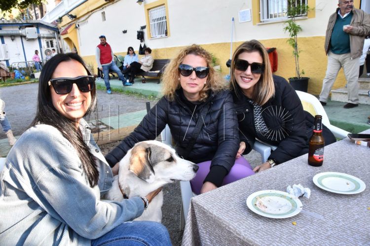 kaiat-perra-regulares (1)