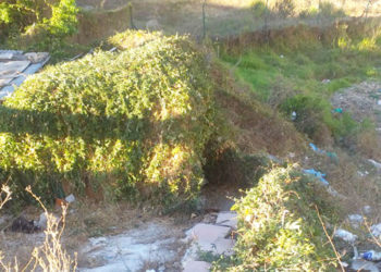 lucha-familia-evitar-hijo-centro-psiquiatrico-1