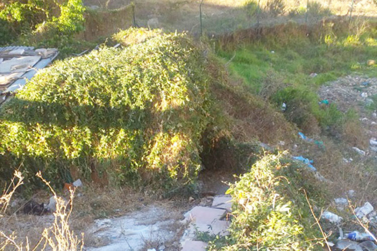 lucha-familia-evitar-hijo-centro-psiquiatrico-1