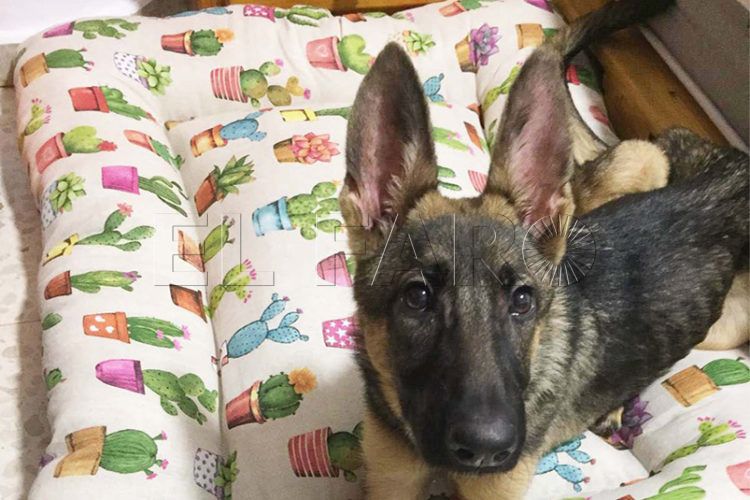 nueva-vida-cata-maltrato-hogar-1