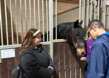 hipoterapia-plena-inclusion-caballos-001