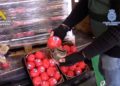 narcos-hachis-tomates-operacion-califa-trucks-014