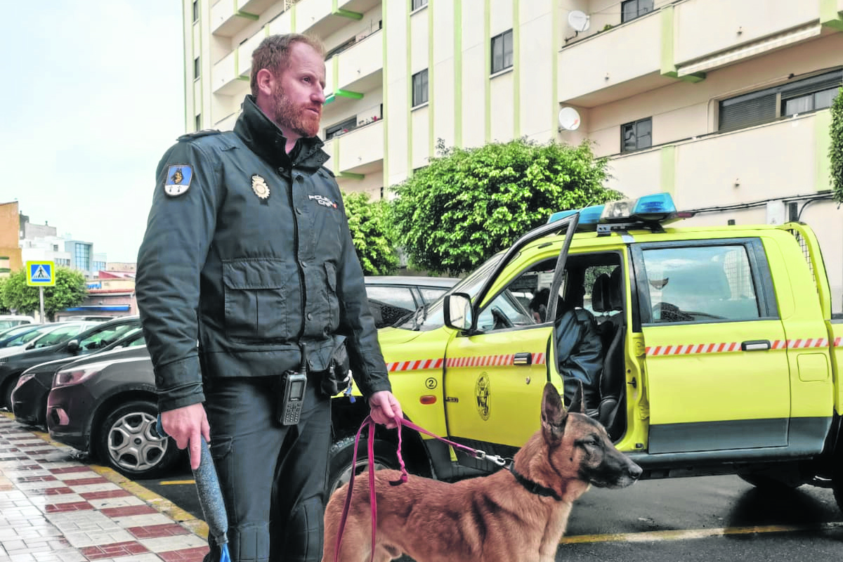 perro-osito-policia-nacional-1