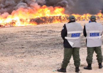 droga-destruccion-marruecos