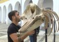 esqueleto-zifio-cuvier-campus-proyecto-gigantes-mar-017