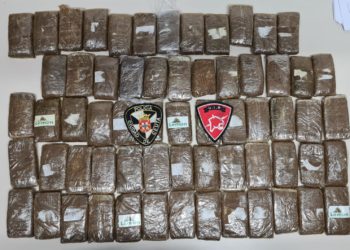 hachis-policia-local-principe