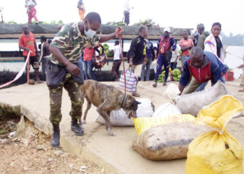 holly-perra-policia-congo-003