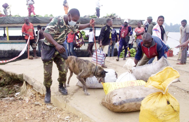 holly-perra-policia-congo-003