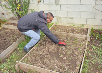 huerto-ecologico-plena-inclusion-007