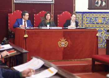 pleno-comision-plan-territorial-emergencias-002